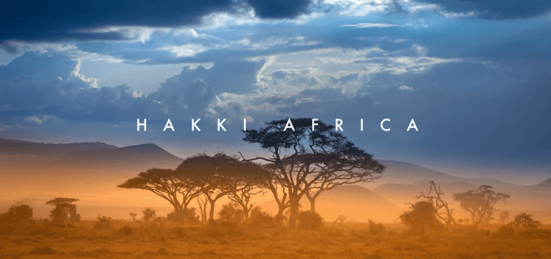 HAKKI AFRICAのSDGsの取組みとは?最新技術を活用したアフリカの金融サービスを解説