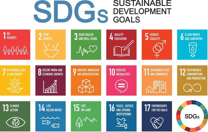 法政大学SDGs＋（プラス）プロジェクト協力「【Z 世代】SDGs シューカツ解体白書」（仮）