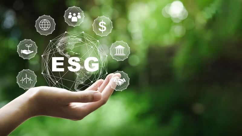ESG経営とは？SDGsとの違いやメリット、企業の取組みを徹底解説！